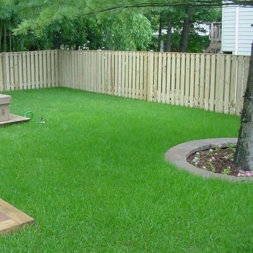 Argentine Bahia Grass Seed