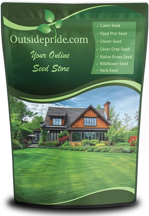 Outsidepride Midnight Kentucky Bluegrass Seed