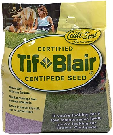 TifBlair Centipede Grass Seed